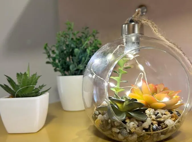 Casa Mia - Modern Near The Center Apartament